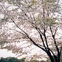 Kyoto, Japan